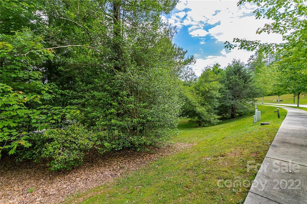 Tbd Cadence Circle, Unit THREE DEVELOPER LOTS Brevard, NC 28712 - Photo 7 of 16 a view of a yard with plants and large trees