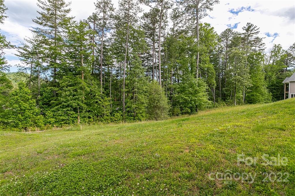 Tbd Cadence Circle, Unit THREE DEVELOPER LOTS Brevard, NC 28712 - Photo 8 of 16 a view of a field with a trees