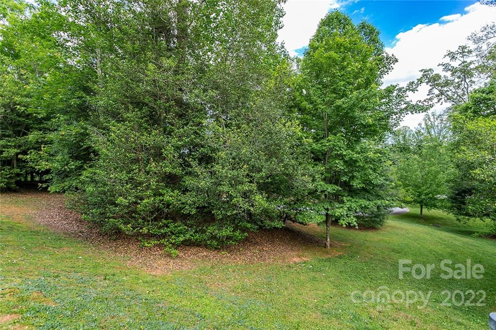 Tbd Cadence Circle, Unit THREE DEVELOPER LOTS Brevard, NC 28712 - Photo 9 of 16 a view of a lush green space