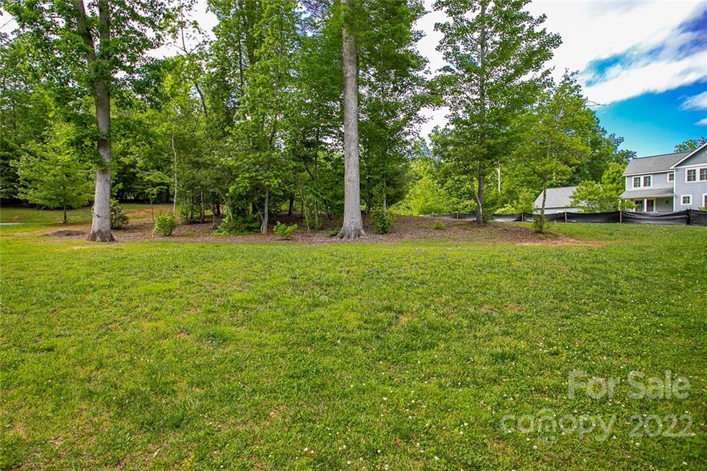 Tbd Cadence Circle, Unit THREE DEVELOPER LOTS Brevard, NC 28712 - Photo 10 of 16 a view of a field with a tree