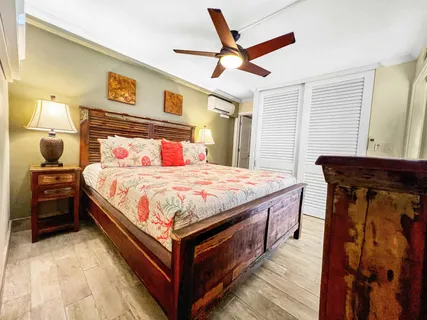 a bedroom with a bed and a walk in closet