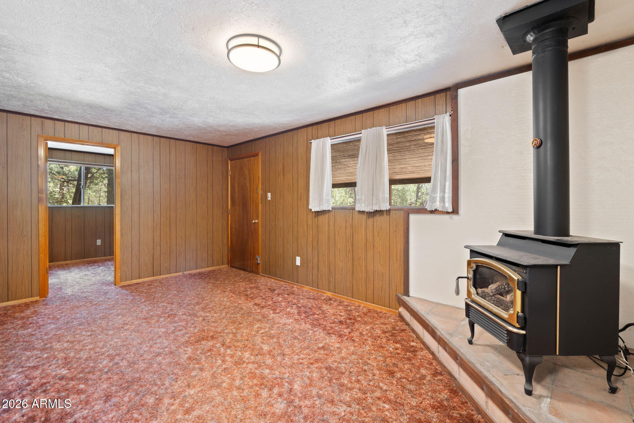 2943 Buckskin Road Overgaard, AZ 85933 - Photo 17 of 36 an empty room with windows
