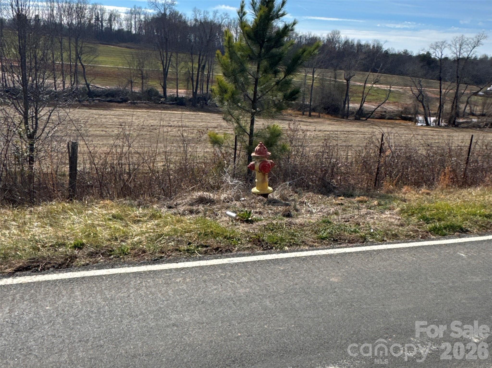 0 Cooksville Road Vale, NC 28168 - Photo 20 of 24 a view of a backyard