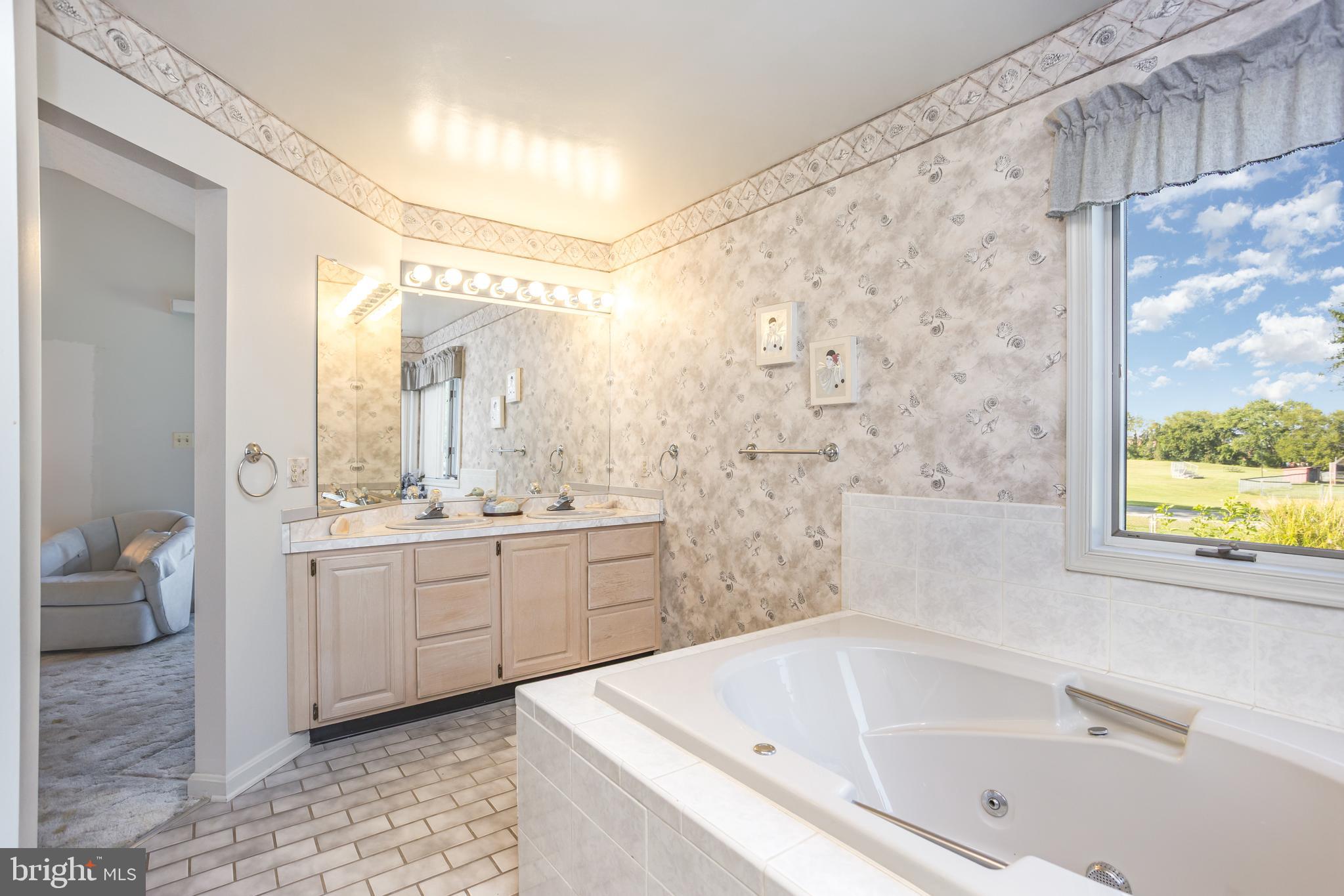 7252 Meadow Lane Baltimore, MD 21222 - Photo 24 of 80 Dual sinks, tiled floor, excellent lighting