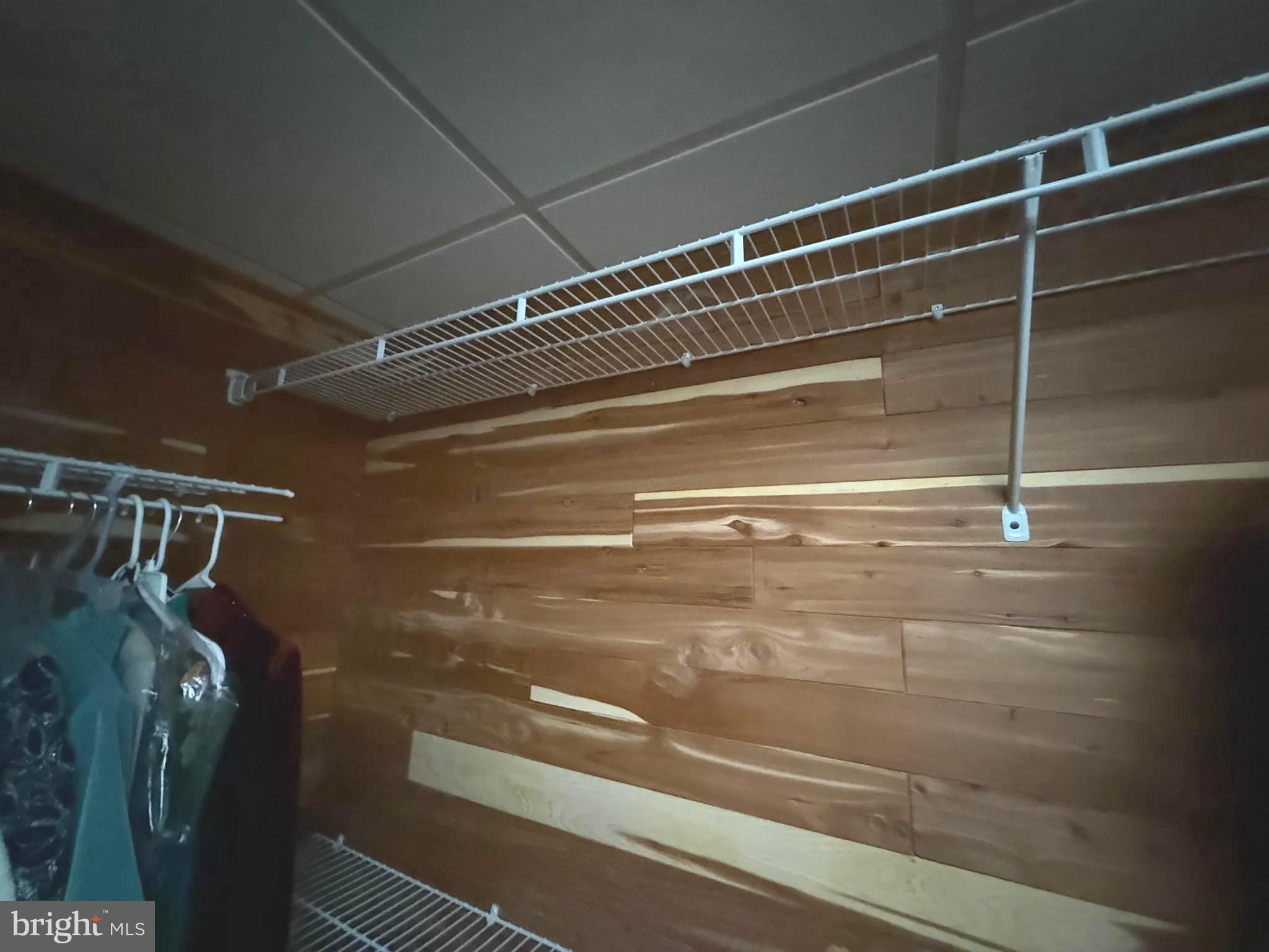 7252 Meadow Lane Baltimore, MD 21222 - Photo 70 of 80 Cedar closet