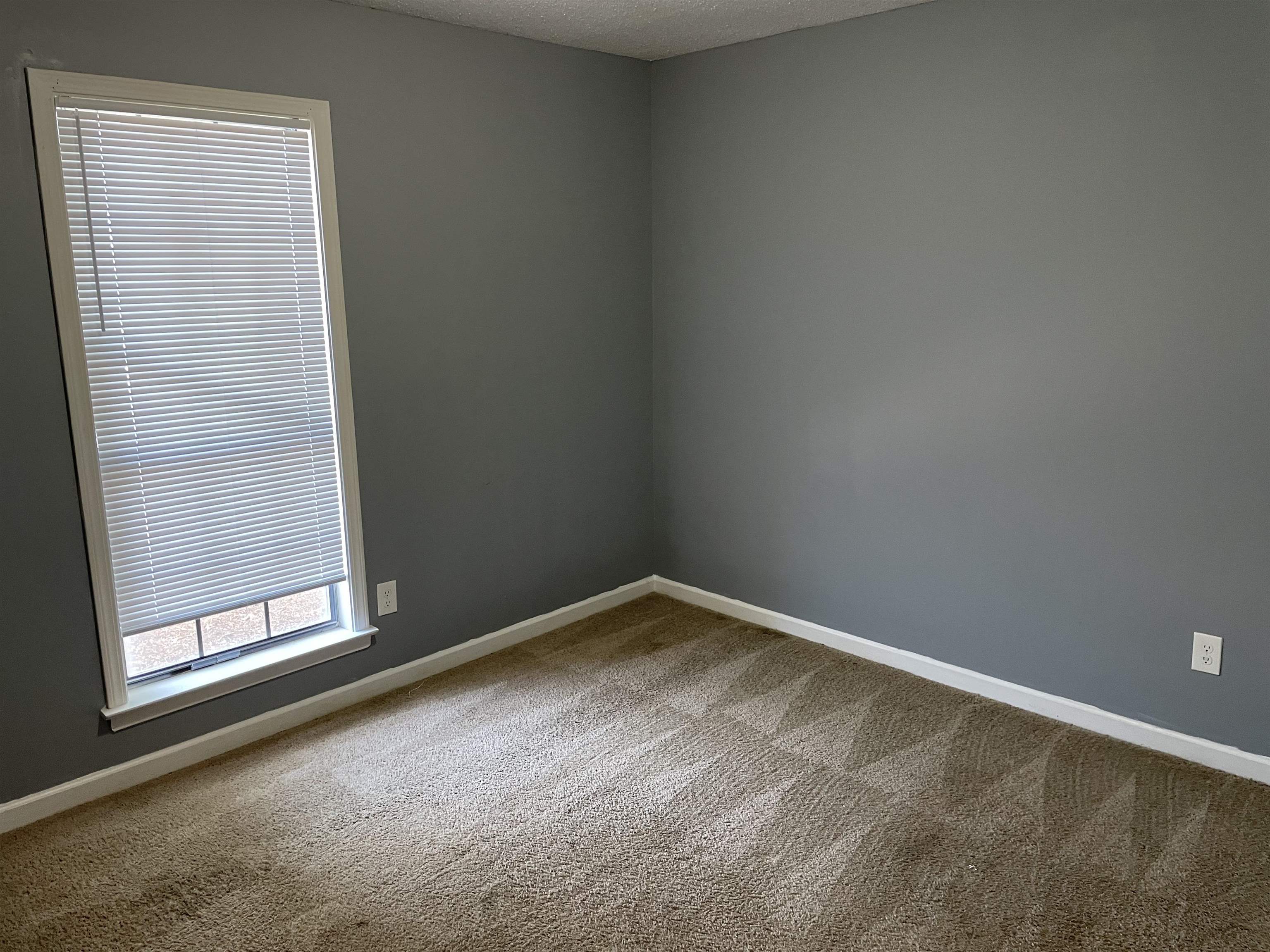 7371 Barnstable Road Memphis, TN 38125 - Photo 4 of 7 Gallery Image 4