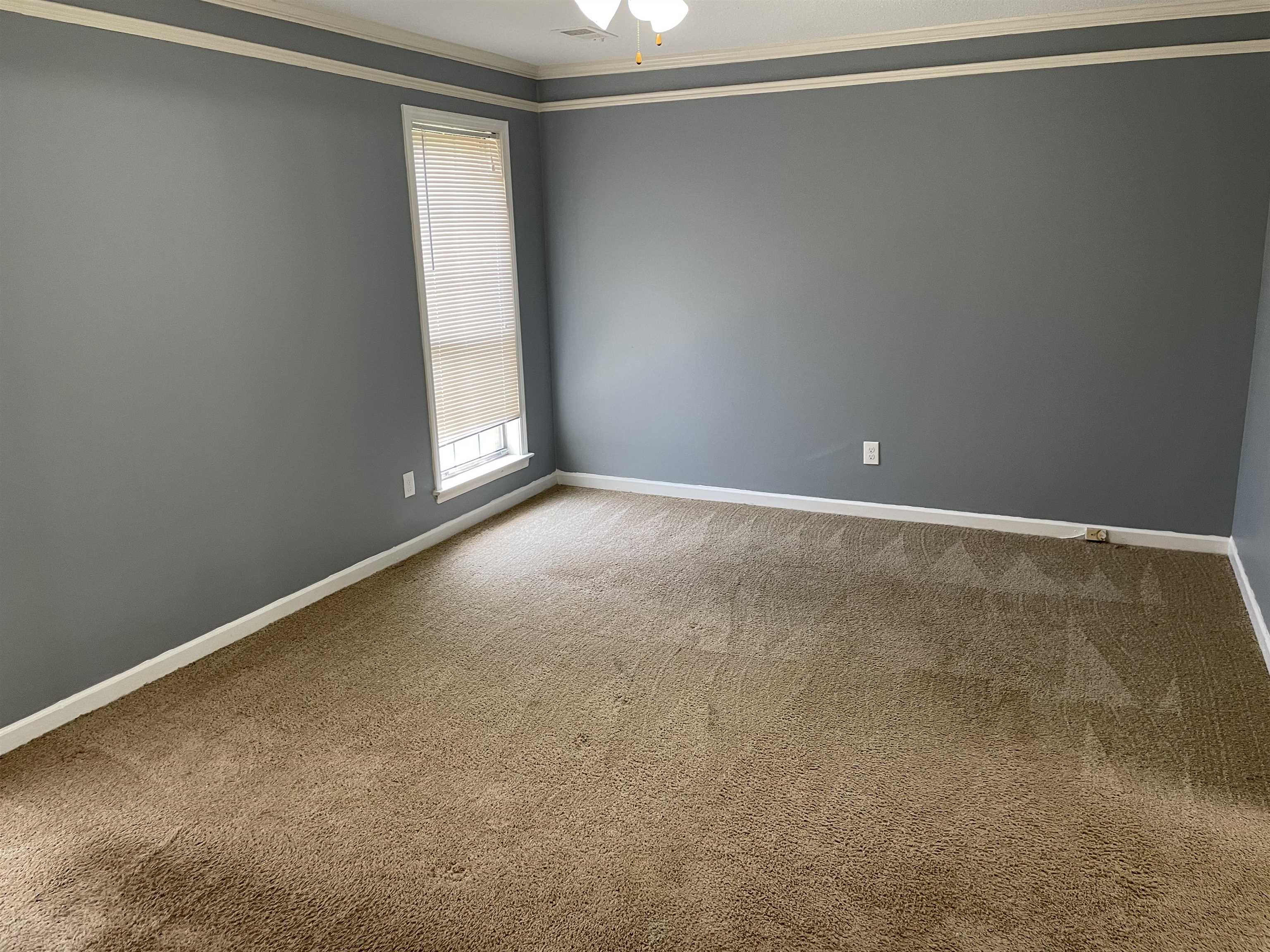 7371 Barnstable Road Memphis, TN 38125 - Photo 6 of 7 Gallery Image 6