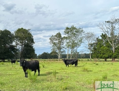 281 Brittingham Road Guyton, GA 31312 - Photo 1 of 12 Gallery Image 1
