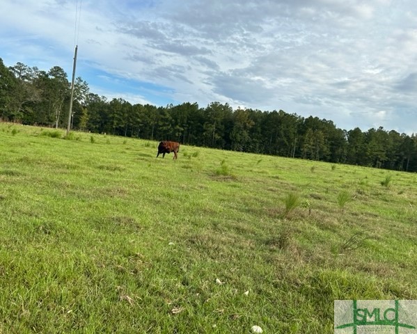 281 Brittingham Road Guyton, GA 31312 - Photo 6 of 12 Gallery Image 6