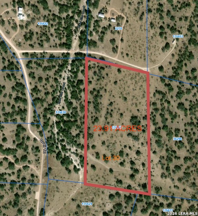 a close up of a plant