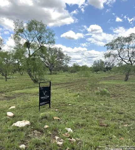 a view of a bench in a yard