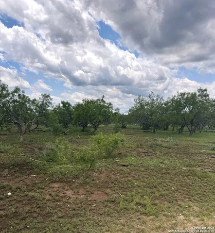 a view of a field with trees in background