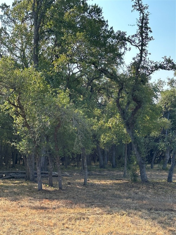 12333 A Ranch Road 12, Unit 1 Wimberley, TX 78676 - Photo 12 of 28 a view of a house with a yard