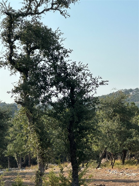 12333 A Ranch Road 12, Unit 1 Wimberley, TX 78676 - Photo 13 of 28 a view of outdoor space with mountain view