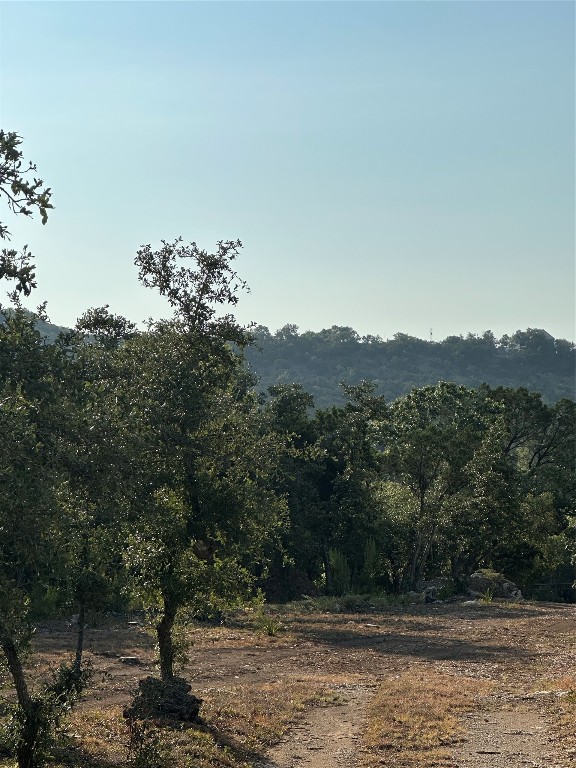 12333 A Ranch Road 12, Unit 1 Wimberley, TX 78676 - Photo 14 of 28 a view of a yard with a tree