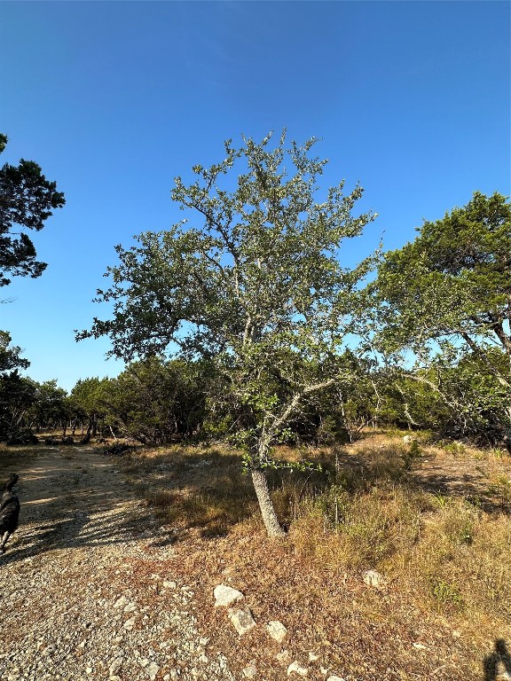 12333 A Ranch Road 12, Unit 1 Wimberley, TX 78676 - Photo 15 of 28 a view of a lake with houses