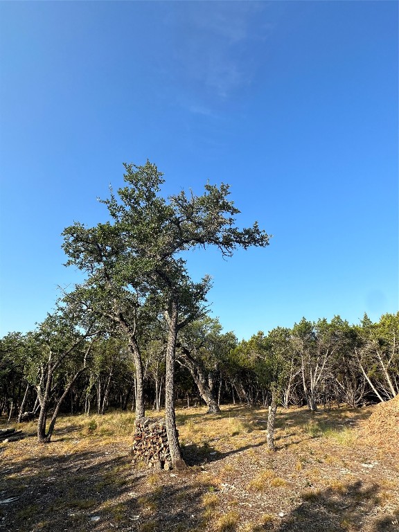 12333 A Ranch Road 12, Unit 1 Wimberley, TX 78676 - Photo 16 of 28 a view of a yard with a tree