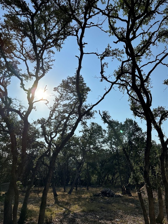 12333 A Ranch Road 12, Unit 1 Wimberley, TX 78676 - Photo 20 of 28 a picture of tree