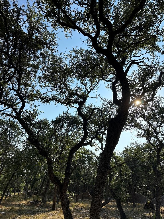 12333 A Ranch Road 12, Unit 1 Wimberley, TX 78676 - Photo 21 of 28