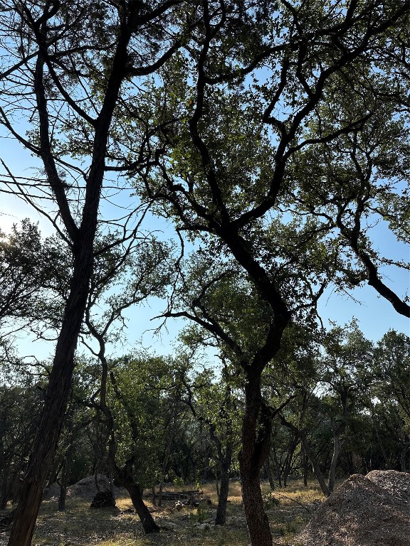 12333 A Ranch Road 12, Unit 1 Wimberley, TX 78676 - Photo 22 of 28 a view of tree