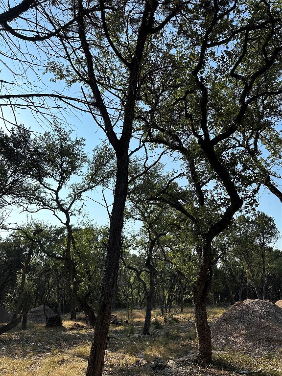 12333 A Ranch Road 12, Unit 1 Wimberley, TX 78676 - Photo 23 of 28 a view of a trees with a tree
