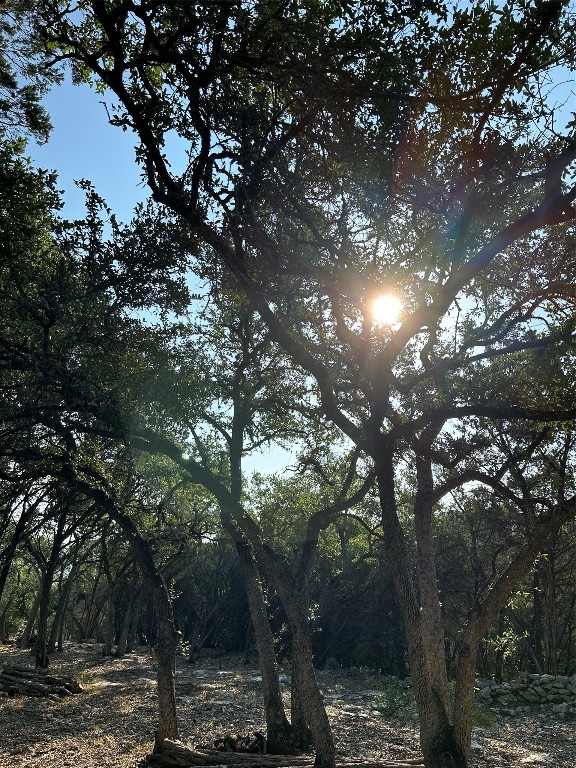 12333 A Ranch Road 12, Unit 1 Wimberley, TX 78676 - Photo 24 of 28 a view of a tree in a yard