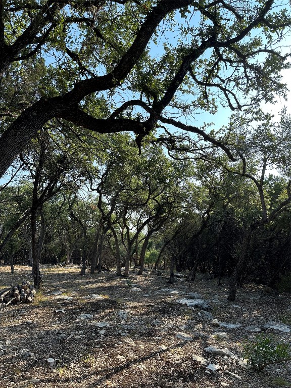 12333 A Ranch Road 12, Unit 1 Wimberley, TX 78676 - Photo 25 of 28 a big yard with lots of green space