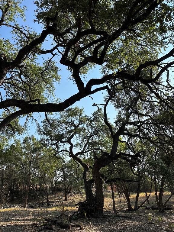 12333 A Ranch Road 12, Unit 1 Wimberley, TX 78676 - Photo 28 of 28