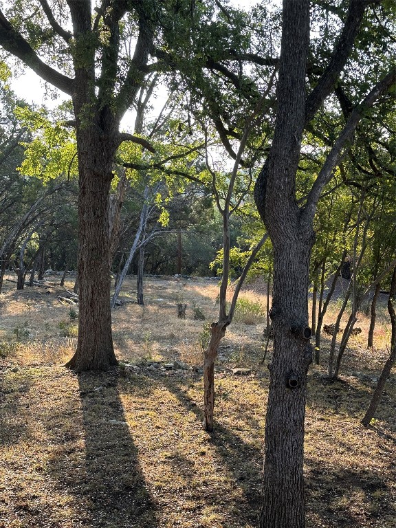 12333 A Ranch Road 12, Unit 1 Wimberley, TX 78676 - Photo 4 of 28 a view of a yard with a tree