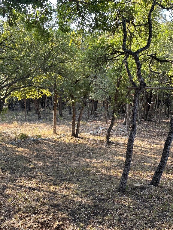 12333 A Ranch Road 12, Unit 1 Wimberley, TX 78676 - Photo 5 of 28 a view of outdoor space with trees