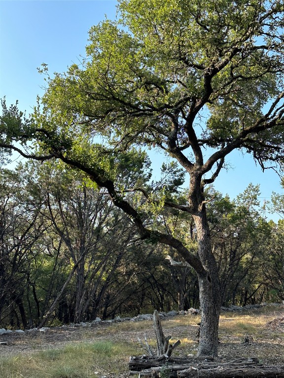 12333 A Ranch Road 12, Unit 1 Wimberley, TX 78676 - Photo 8 of 28 a view of a tree in the middle of a yard