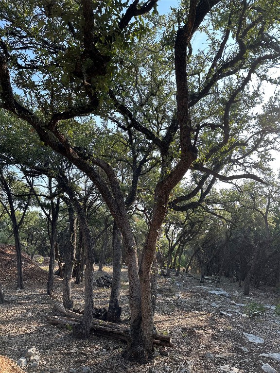 12333 A Ranch Road 12, Unit 1 Wimberley, TX 78676 - Photo 10 of 28 a view of tree