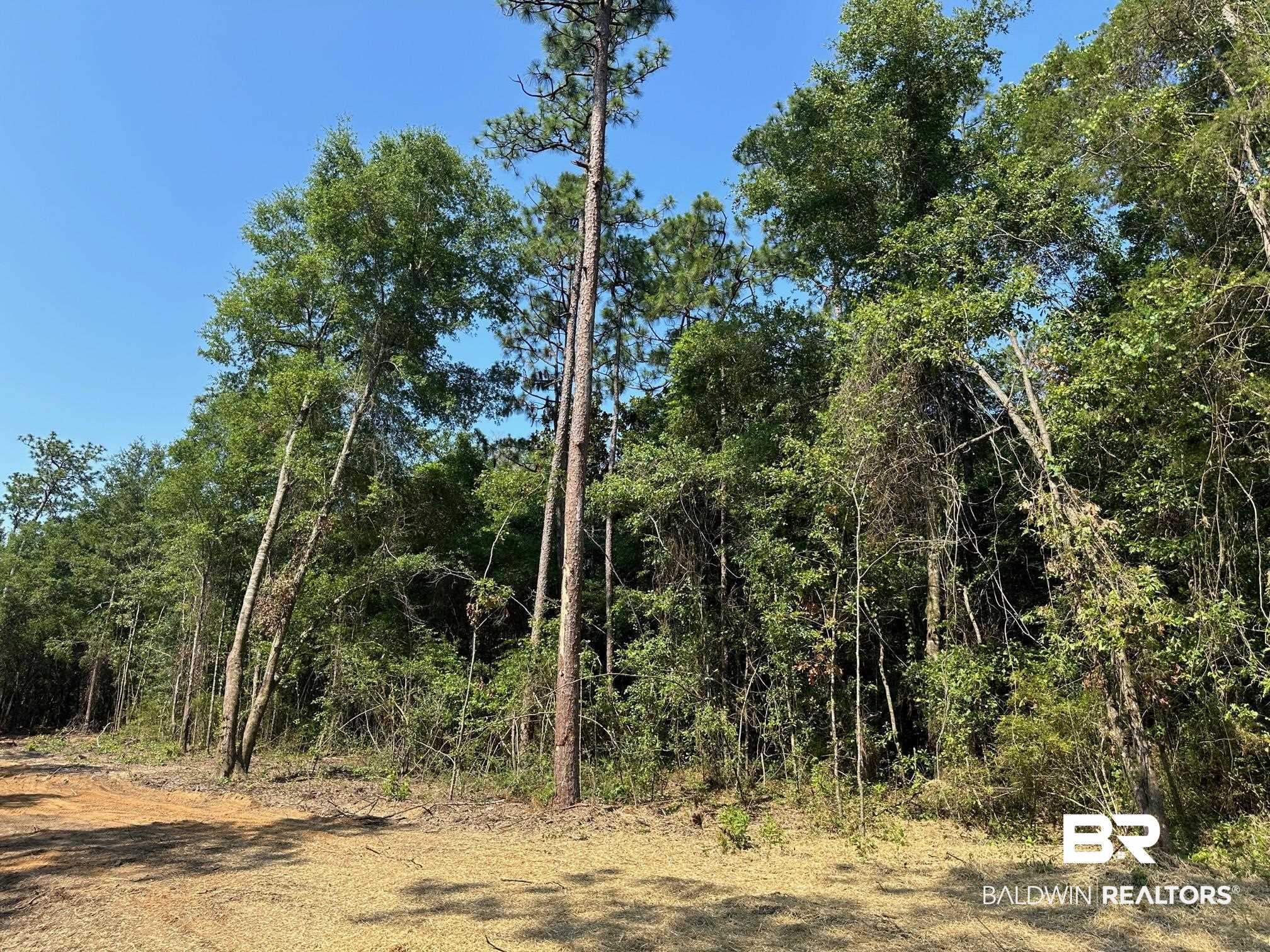 0 Sedlack Road Silverhill, AL 36576 - Photo 3 of 12