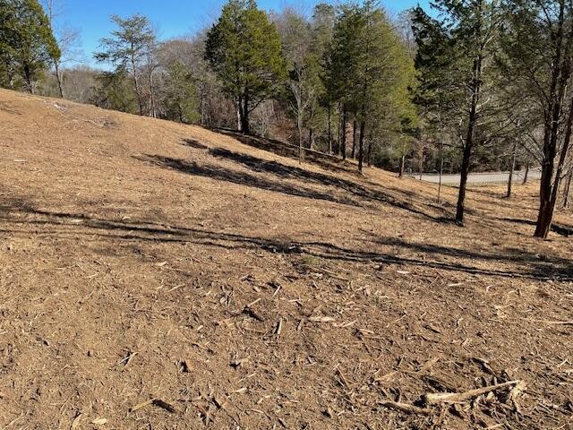10 Hidden Ranch Way Seymour, TN 37865 - Photo 20 of 25 Gallery Image 20
