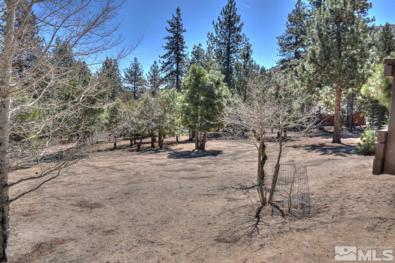 4561 Wagon Wheel Road Carson City, NV 89703 - Photo 16 of 20 Photo 17