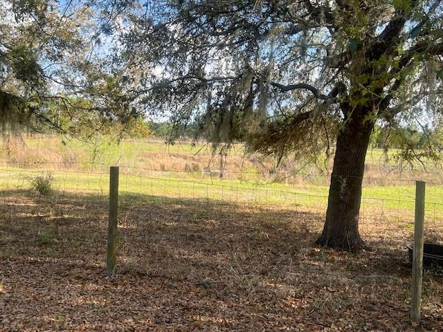 3301 Hammock Grove Road Groveland, FL 34736 - Photo 5 of 8 a view of a yard with an trees