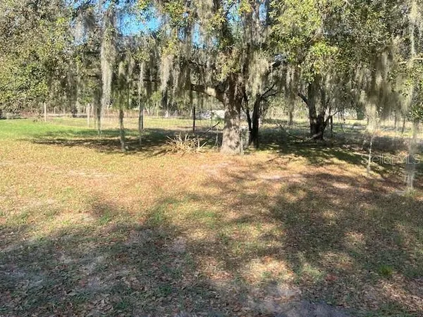 a view of open space with trees