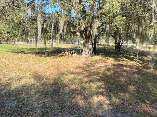 3301 Hammock Grove Road Groveland, FL 34736 - Photo 7 of 8 a view of open space with trees