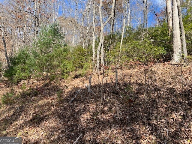 Lot 19 The Highlands At Hightower Ridge Hiawassee, GA 30546 - Photo 11 of 11 a view of a yard with plants and large trees