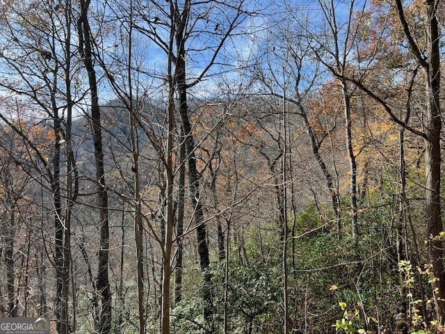 Lot 19 The Highlands At Hightower Ridge Hiawassee, GA 30546 - Photo 2 of 11 a view of forest