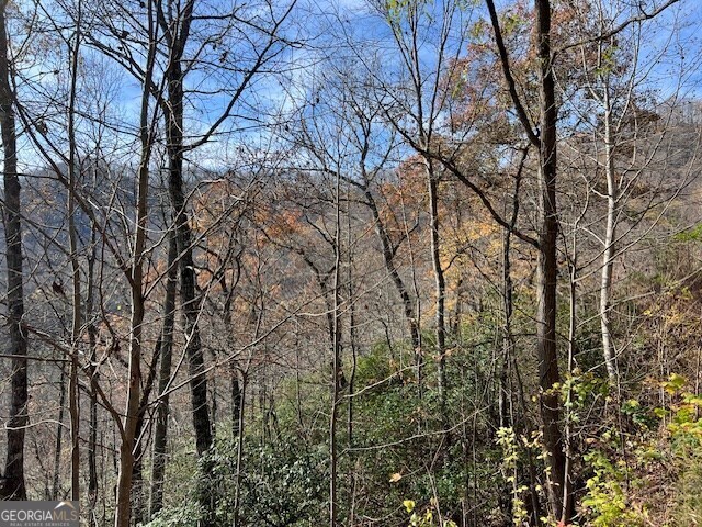 Lot 19 The Highlands At Hightower Ridge Hiawassee, GA 30546 - Photo 3 of 11 a view of a yard