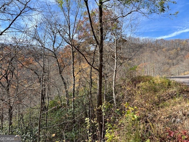 Lot 19 The Highlands At Hightower Ridge Hiawassee, GA 30546 - Photo 5 of 11 a view of forest