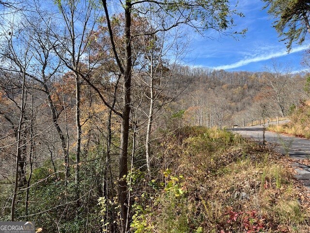 Lot 19 The Highlands At Hightower Ridge Hiawassee, GA 30546 - Photo 6 of 11 a view of a yard with large trees