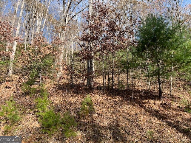 Lot 19 The Highlands At Hightower Ridge Hiawassee, GA 30546 - Photo 7 of 11 a view of a yard with plants and trees