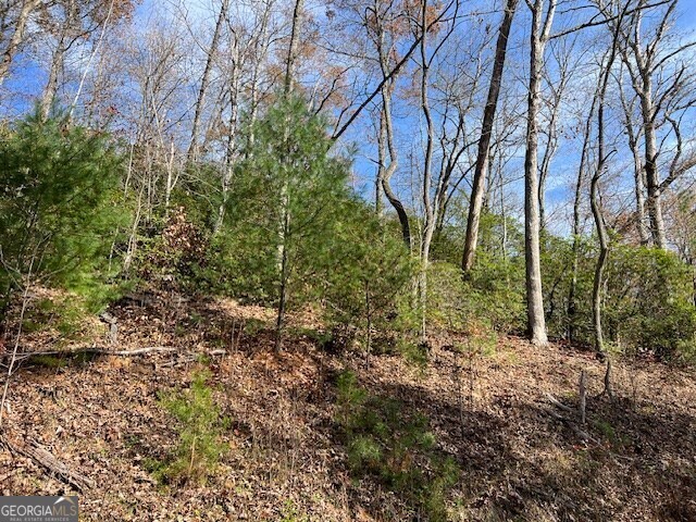 Lot 19 The Highlands At Hightower Ridge Hiawassee, GA 30546 - Photo 10 of 11 a view of backyard with green space
