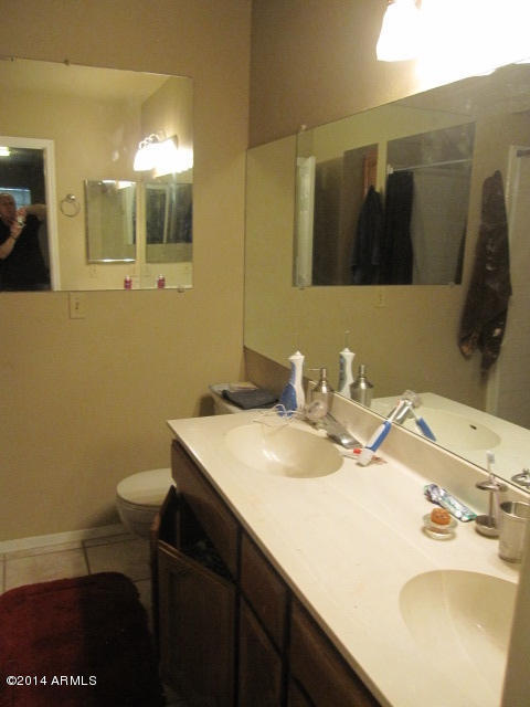 170 East Guadalupe Road, Unit 46 Gilbert, AZ 85234 - Photo 4 of 11 Bathroom