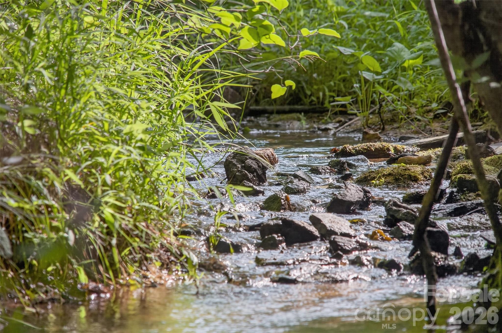 485 Frog Creek Road Union Mills, NC 28167 - Photo 20 of 44