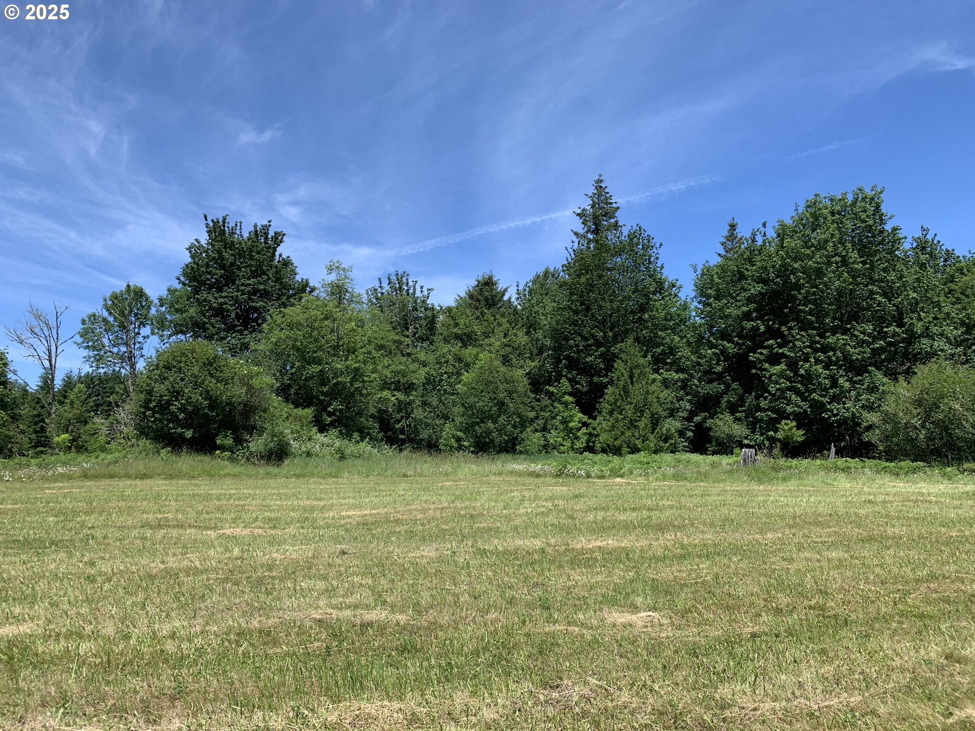 178 Mask Lane Toutle, WA 98649 - Photo 3 of 6