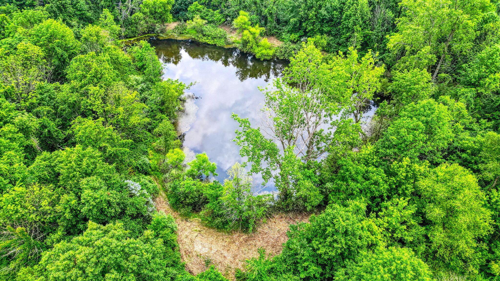 0 Chambers Road Sunbury, OH 43074 - Photo 12 of 17 Great fishing spot