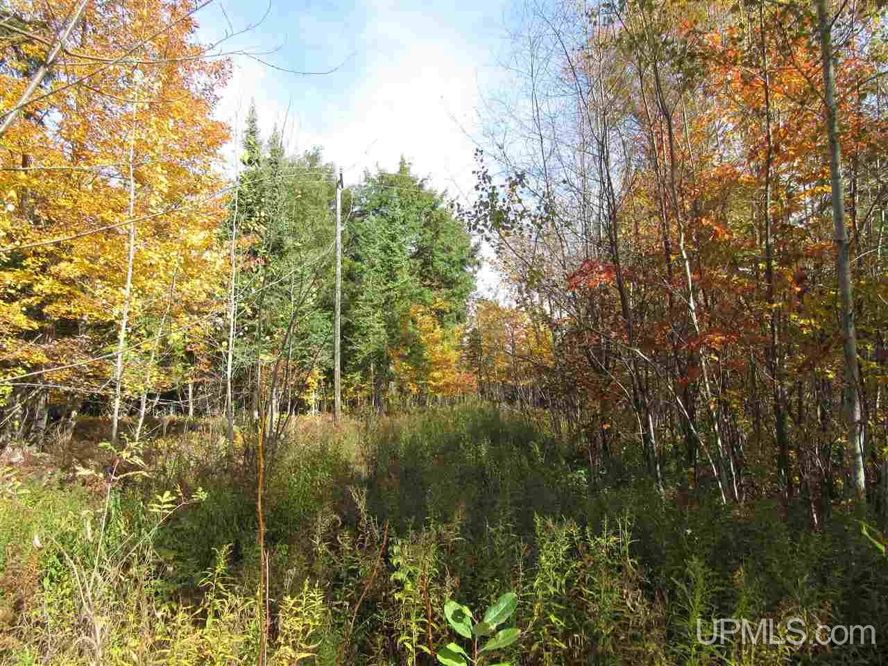 Tbd West Us2 Gulliver, MI 49840 - Photo 3 of 4